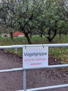 Vogelgrippe